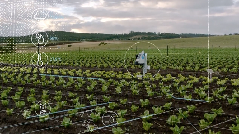 Application of machine learning in agriculture cheap