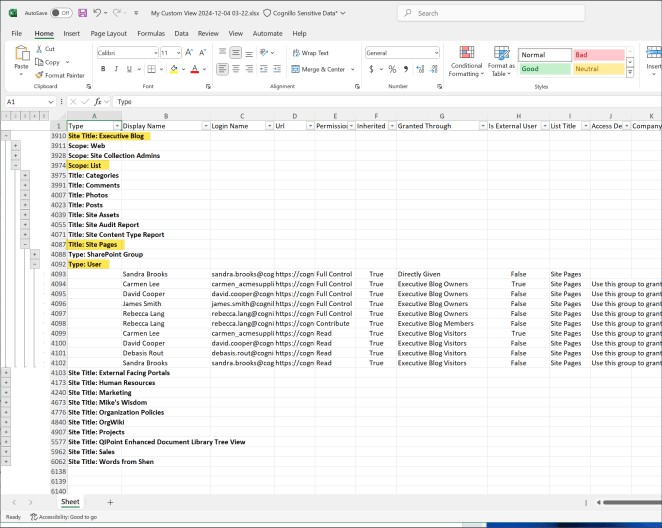 SharePoint permissions report exported to Excel with grouped site and list entries, permission levels and granted-through columns